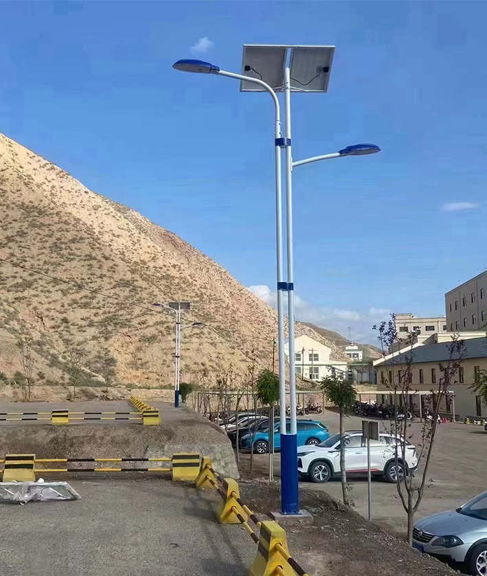 太陽能路（lù）燈案例